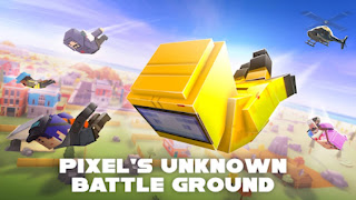 Pixel's Unknown Battle Grounds